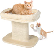 Tiragraffi piccolo, altezza 50 cm, tiragraffi per gatti con seduta in peluche e colonna in sisal e palla, albero da arrampicata in legno stabile, per gatti
