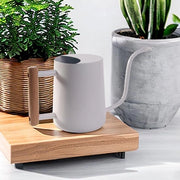 Giocatore per piante da appartamento in acciaio inossidabile decorazione moderna - lungo getto per piante da interni bonsai esterno giardino - bianco