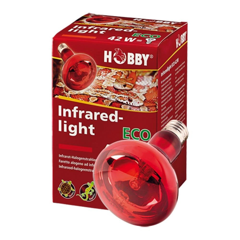 Hobby Infrared Light - Lampada a Raggi Infrarossi Wattaggio Riscaldatori e lampade terrario: 100W