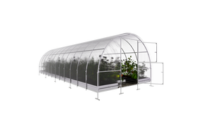 Serre da giardino robuste KLASIKA EASY 3 x 8 m (24 m²), 6 mm con rivestimento in policarbonato