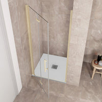 Porta Doccia 100x185 cm Porta Battente Pieghevole in Vetro Temperato Trasparente 6 mm Anticalcare Telaio Dorato Spazzolato