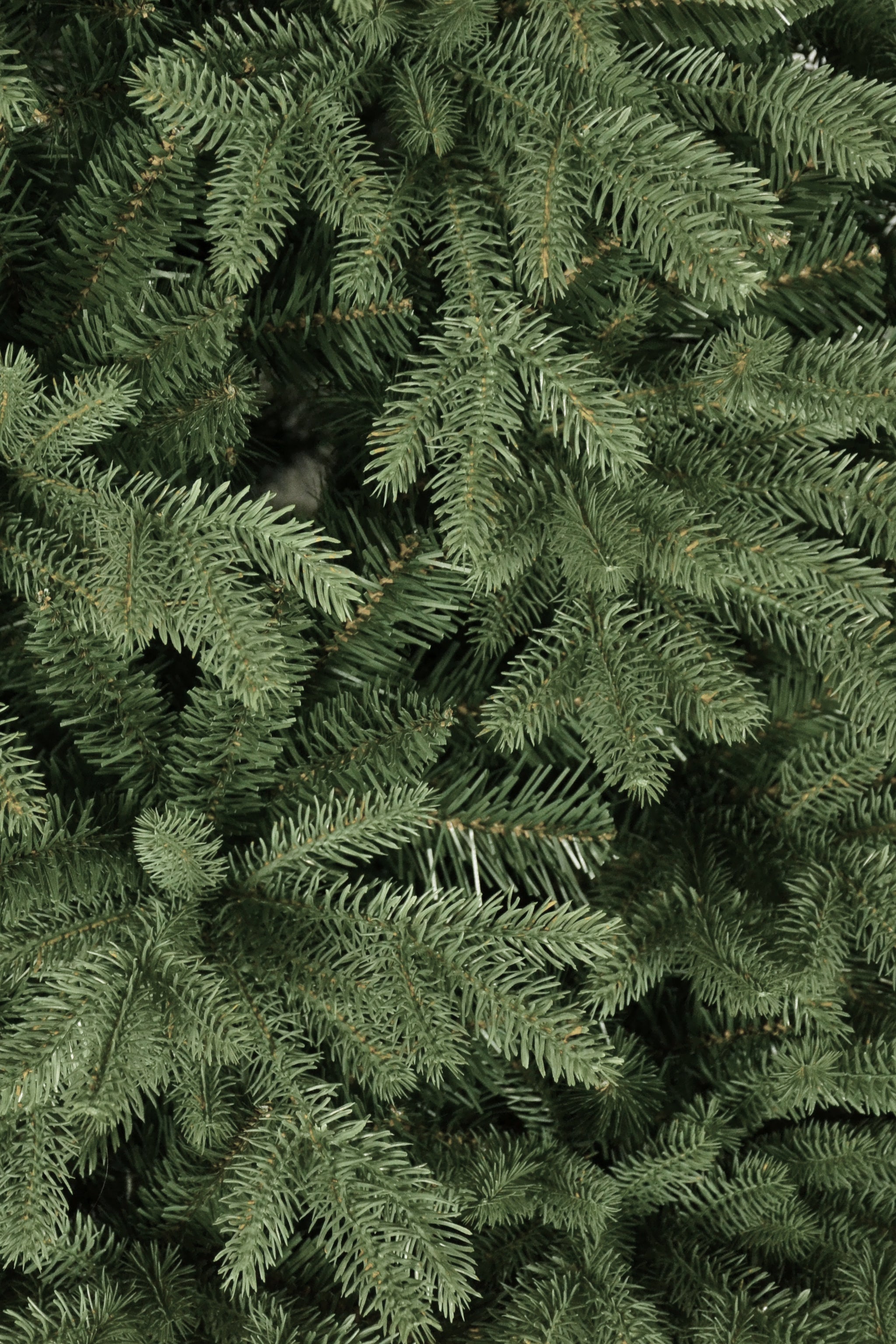 Albero di Natale Urano 180 cm