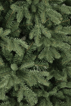 Albero di Natale Urano 210 cm