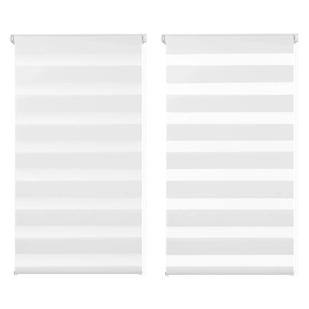 IDMarket - Set di 2 tende a rullo, giorno e notte, 45x170 cm, bianco