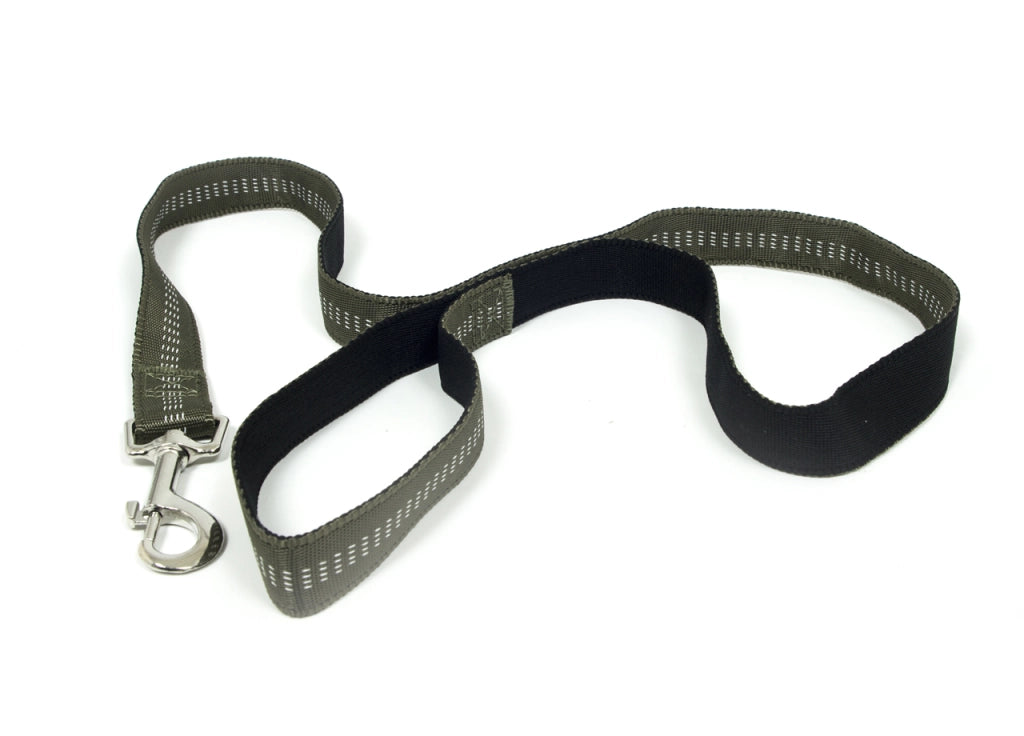 Guinzaglio Con Moschettone Per Animali Domestici Modello Color Doggy 120cm - 120cm - Verdone