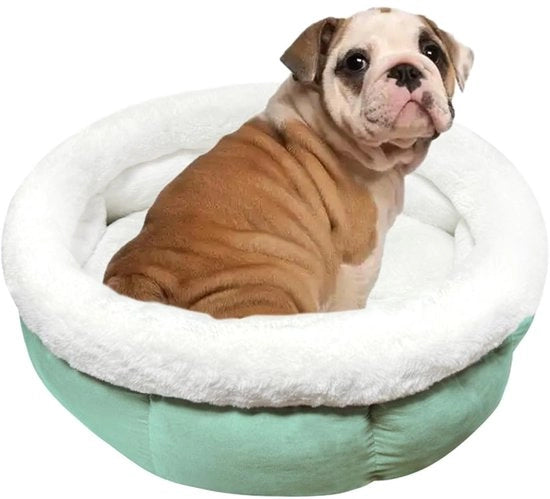 Letto per Gatti e Cani, 60 x 60 x 23 cm, Casa per Animali, Posto di Riposo per Gatti, Verde Chloro