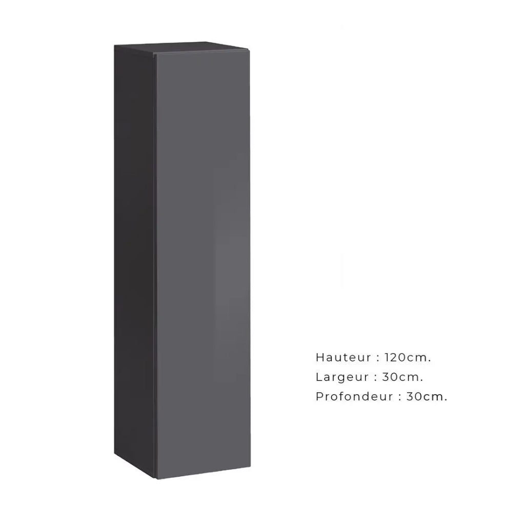 Armadio a colonna sospeso – Grigio – Collezione SWITCH – 30x120 cm – Design moderno