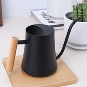 Giocatore da 1000 ml in acciaio inox per piante da appartamento - Giocatore mini con getto lungo per piante grasse