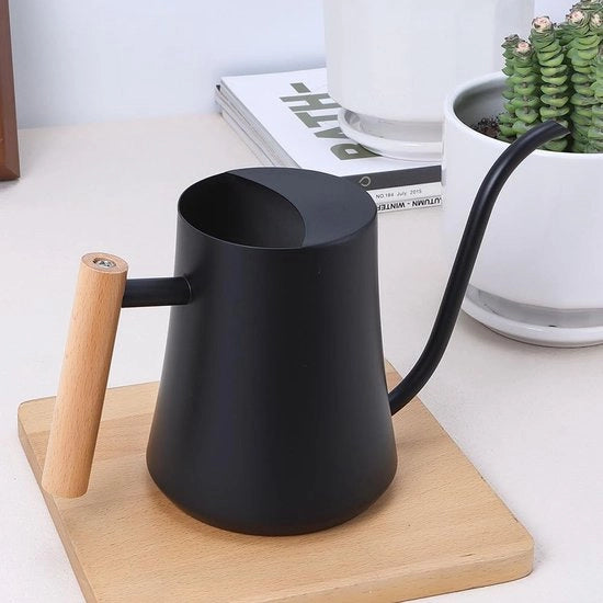 Giocatore da 1000 ml in acciaio inox per piante da appartamento - Giocatore mini con getto lungo per piante grasse