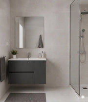 Mobile Bagno HEIMDALL Già Montato 2 cassetti e porta, lavabo e specchio Grafite 70x45 cm