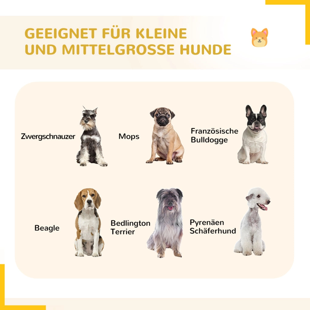 Recinto per cani modulare ¨C zephmum ¨C 16 pezzi, 2 porte, 3.2x3.2x1 m, grigio