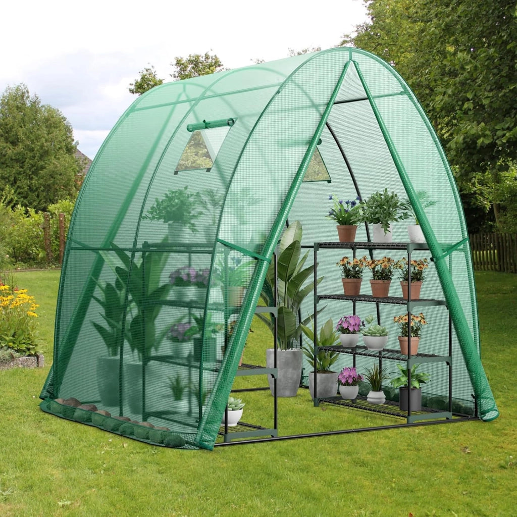Serra da Giardino 181 x 181 x 200 CM, Serra a Tunnel da Esterno con 2 Porte con Zip, 2 Finestre, Copertura in PE Impermeabile e Tasche Laterali, Serra Invernale per Giardino (Verde)