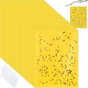 Pacchetto di 50 pezzi - Alettature per 5 a 10 piante & Vanghi biologici - Contro le zanzare della casa per piante da interni - 20x10cm