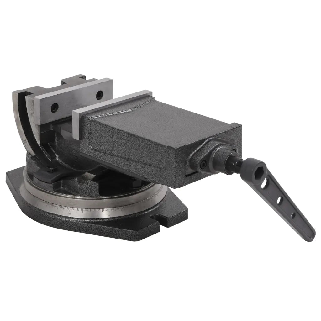 Morsa Inclinabile a 2 Assi 160 mm CFW9891398