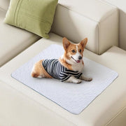 Tappeti da Passeggio 122 x 122 cm - Set da 2 | Pannelli Assorbenti Superficiali per Cani con Design 5-Layer Lekvrij