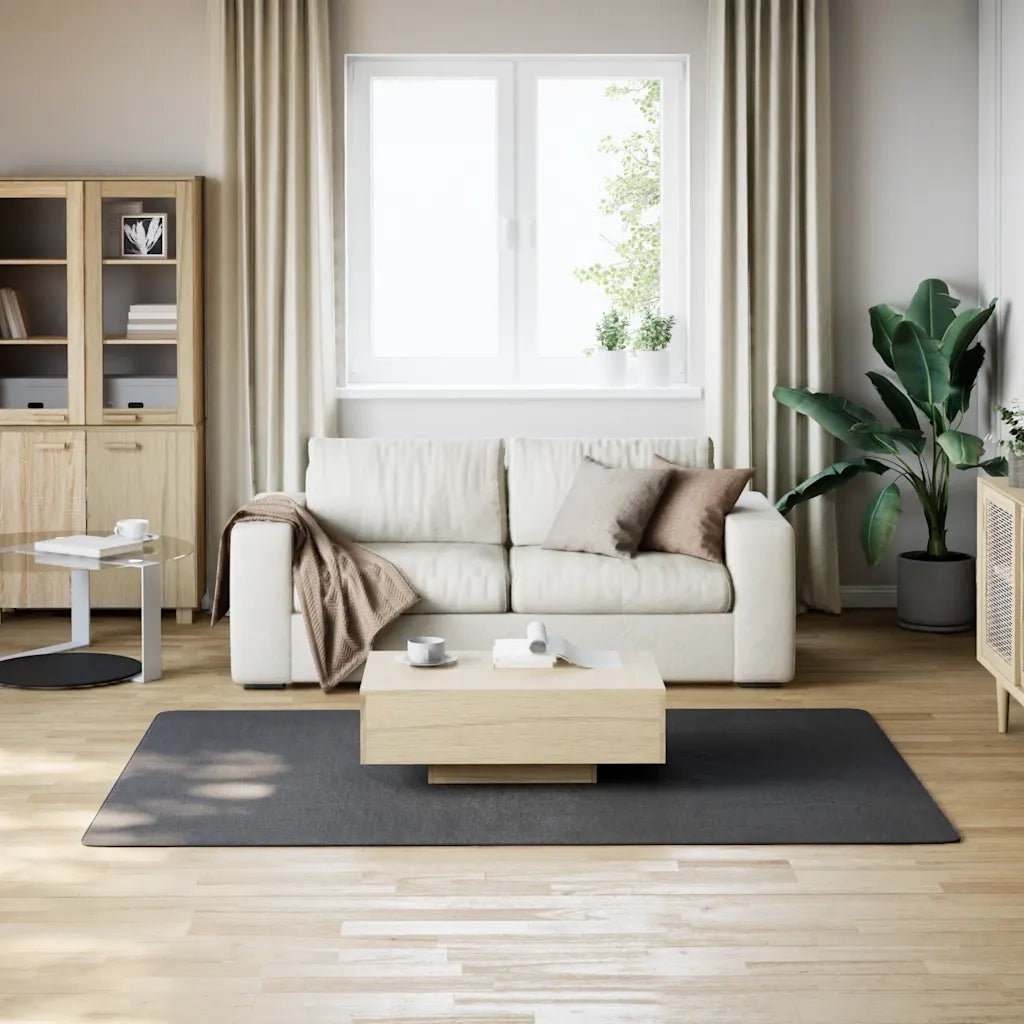 Tappeto Soffice Pelo Corto 160x230 cm Antiscivolo Antracite 342190