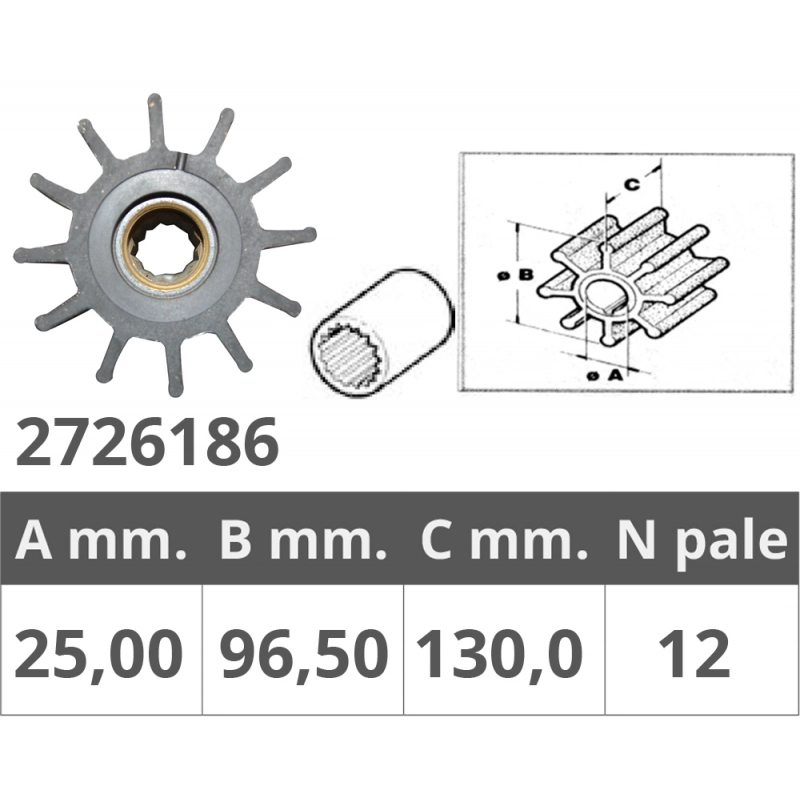 GIRANTE POMPE JOHNSON 09-0820B