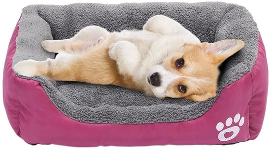 Letto per cani, Matrimoniale e Cuscino per Gatti e Piccoli Cuccioli, Impermeabile e Lavabile (Rosso)