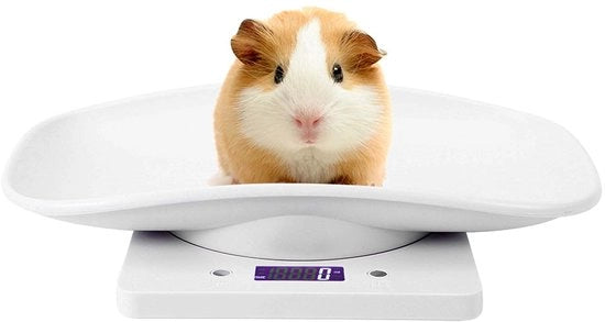 Pesa Elettronica LCD per Cucina con Capacità di 10 KG - Pesa per Animali da Compagnia