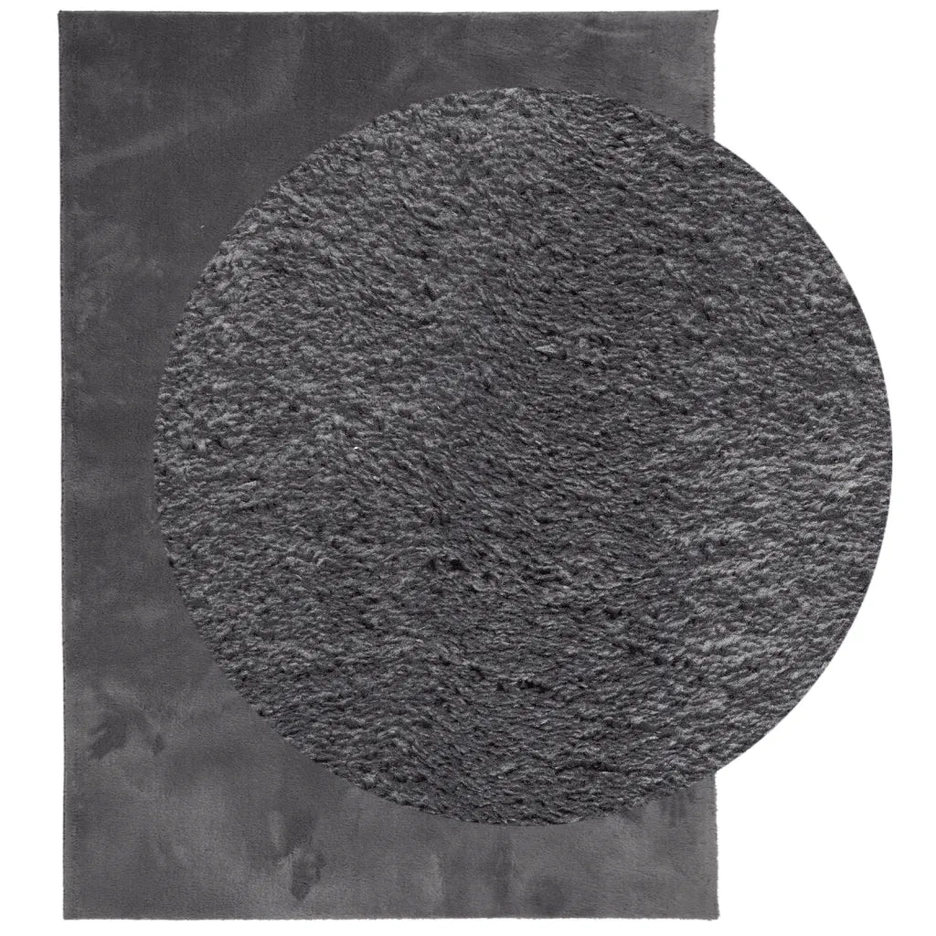 Tappeto del soggiorno | Tappeto Pelo Corto HUARTE Morbido Lavabile Antracite 160x230 cm