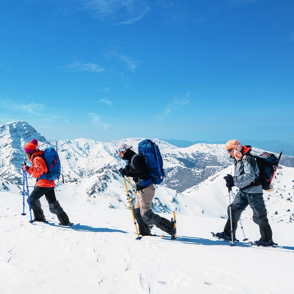 Set di racchette da neve con sistema di fissaggio e bastoncini da trekking, Racchette ergonomiche 63 cm Argento