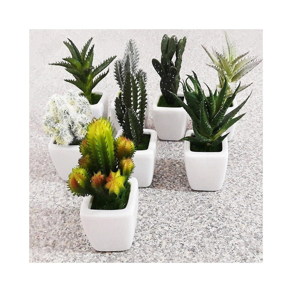 Trade Shop - Piantina Grassa Finta Vaso Ceramica Quadrato 5x11cm Decorazione Uffici Bomboniera -