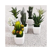 Trade Shop - Piantina Grassa Finta Vaso Ceramica Quadrato 5x11cm Decorazione Uffici Bomboniera -