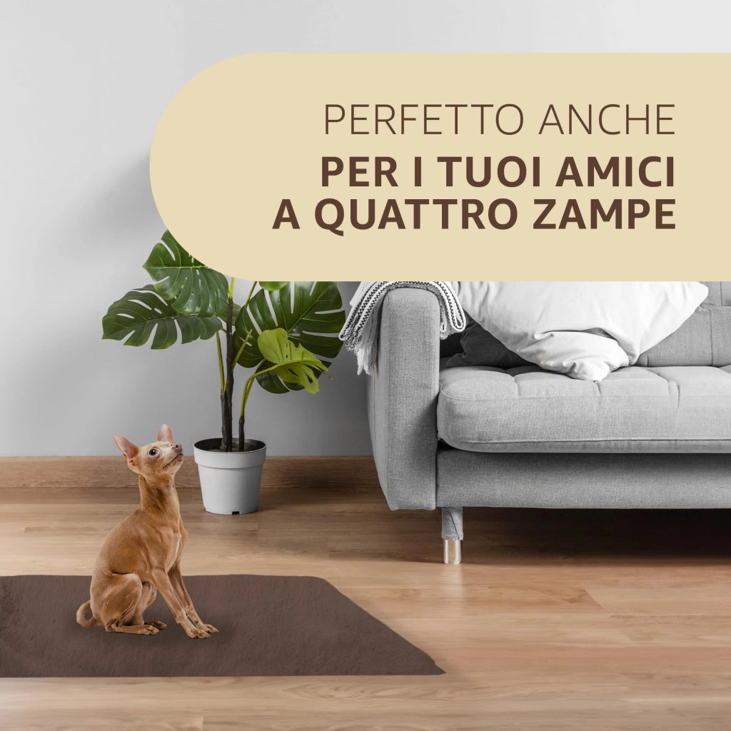 SONIT - 2x Tappeto Scendiletto Moderno 50x80cm - Tappeto per Camera e Salotto - Tappeto Scendiletto Assorbente e Antiscivolo - Tappeto Morbido Colore: TORTORA