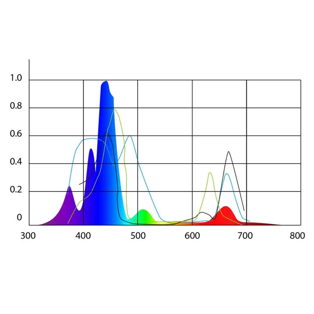 Micmol THOR-X Blue 120w - plafoniera Led per acquari marini