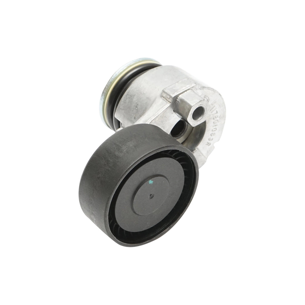 Accessori puleggia cinghia Dacia Logan e Duster 1.5dCi con AC 8200608550