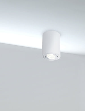 Plafoniera Ceiling & Wall in Alluminio Alfa Bianco