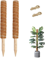 Supporto per piante - Asta per piante - Stelo di sostegno per piante - Sostegno per piante - Altezza massima 80cm - Adatto per Monstera, Pothos, Geldboom - 2 pezzi - 50 cm - Include 2 pezzi di corda di juta da 2 m
