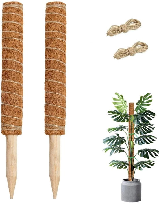 Supporto per piante - Asta per piante - Stelo di sostegno per piante - Sostegno per piante - Altezza massima 80cm - Adatto per Monstera, Pothos, Geldboom - 2 pezzi - 50 cm - Include 2 pezzi di corda di juta da 2 m
