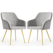 Set di 2 Sedie in velluto liscio ESTELLE Grigio gambe oro