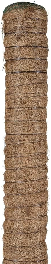 Bastone piante rampicanti Tutore Muschiato con Tubo in plastica e Fibra di Cocco, 80 cm