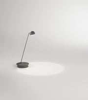 Lumetto da tavolo orientabile LED 7W 3000K-6000K in metallo color antracite opaco con dimmer touch integrato altezza 47 cm - Perenz