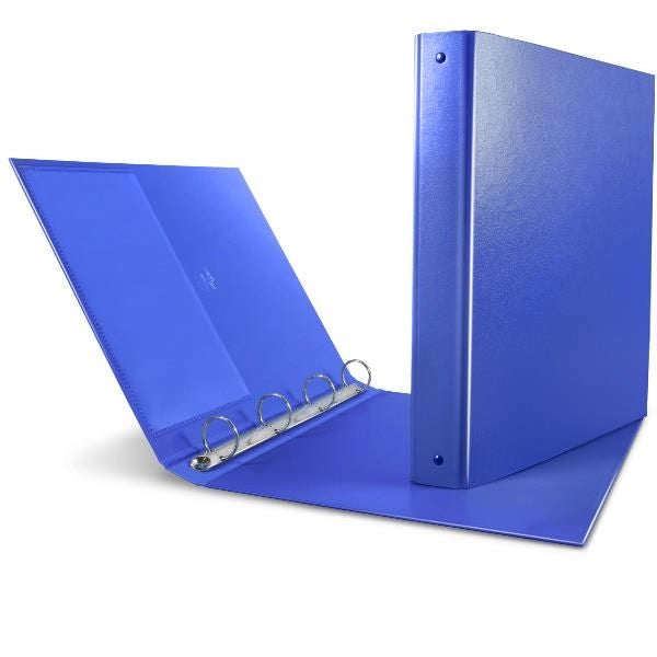 Cf10  nettuno  30  a4  4r  blu - 36803147