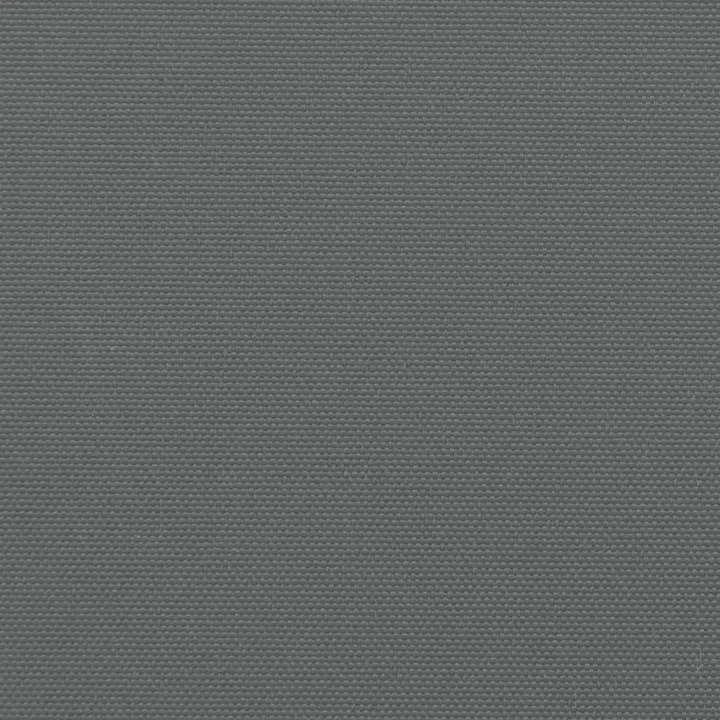 Tenda da Sole Laterale Retrattile Antracite 100x1000 cm 4004688