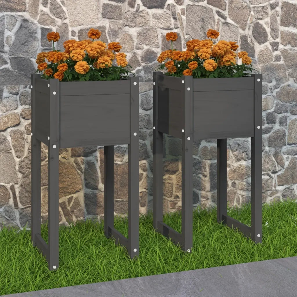 2 pz Fioriere | Cassetta per fiori | Vaso Grigio 40x40x81 cm in Legno Massello di Pino