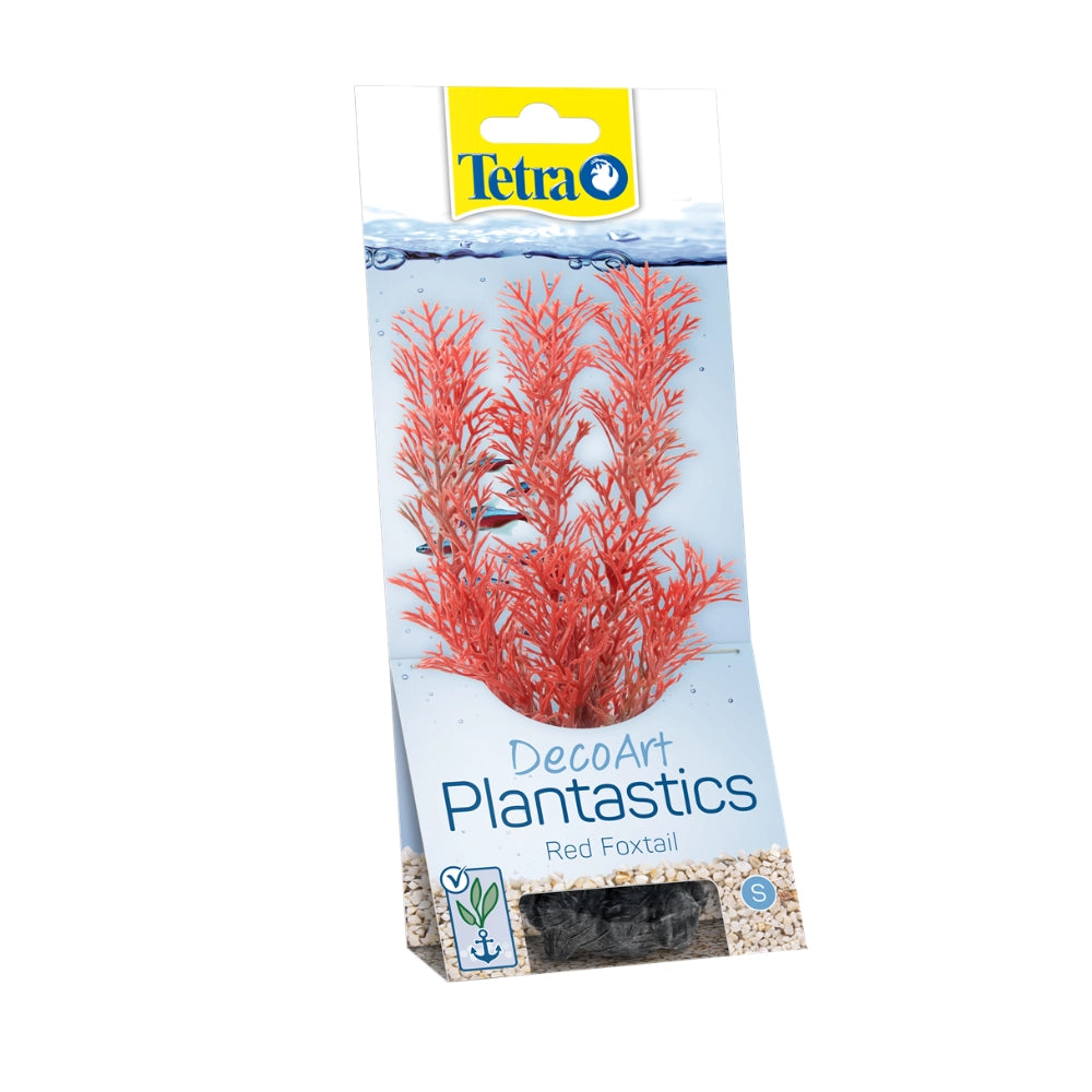 Tetra Pianta Decorativa in Plastica Modello Red Foxtail misura S 15cm