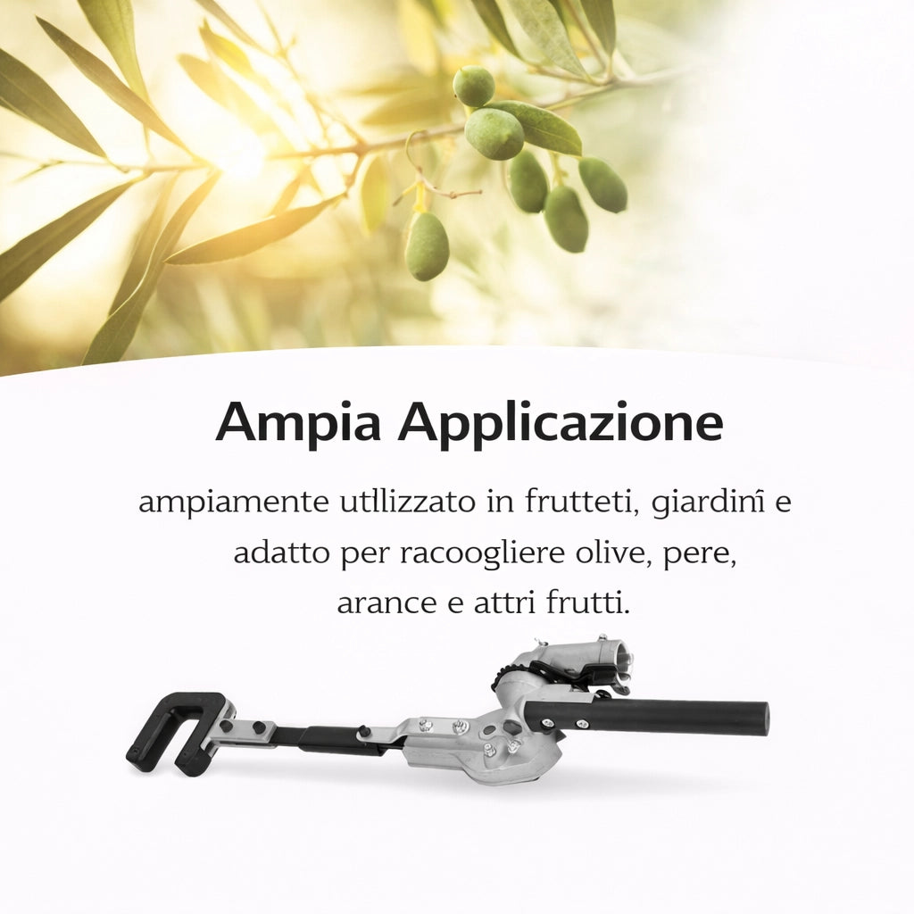 Testa Raccogli Olive per Decespugliatore 26mm 9 Denti Tipo Abbacchiatore