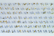 TENDA IN PVC QUADRIFOGLIO cm. 140x240 col. Oro