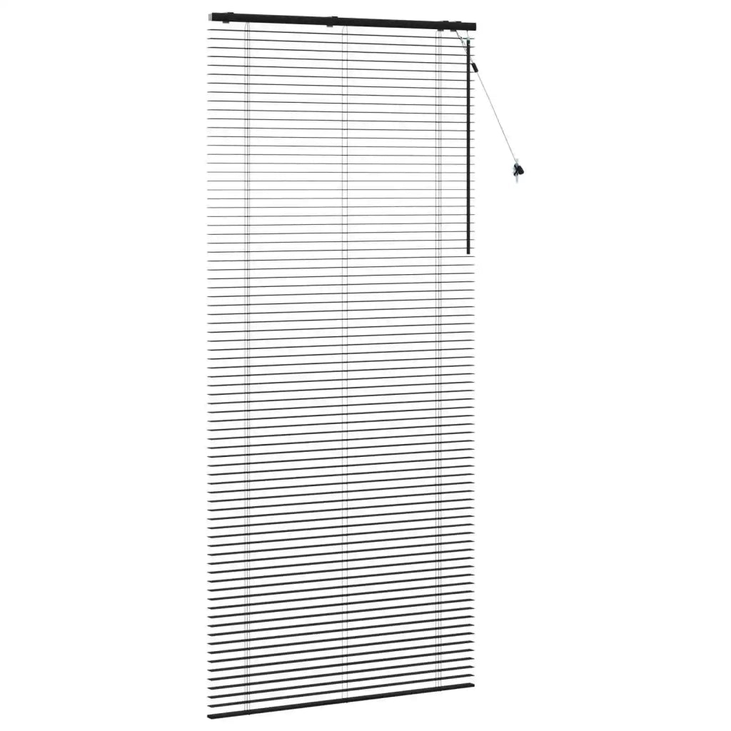 Tenda Veneziana Nero 120 x 250 cm 35 mm 42015520