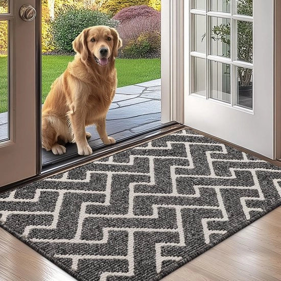 Matto d'ingresso per interni ed esterni, impermeabile, antiscivolo, assorbente, matto di ingresso, lavabile, per cucina e bagno (60 * 90 cm, grigio)