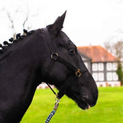 Accessori per Hobby Horse - Halstertouw - Accessori per Hobbyhorsing - Accessori per Halster Touw