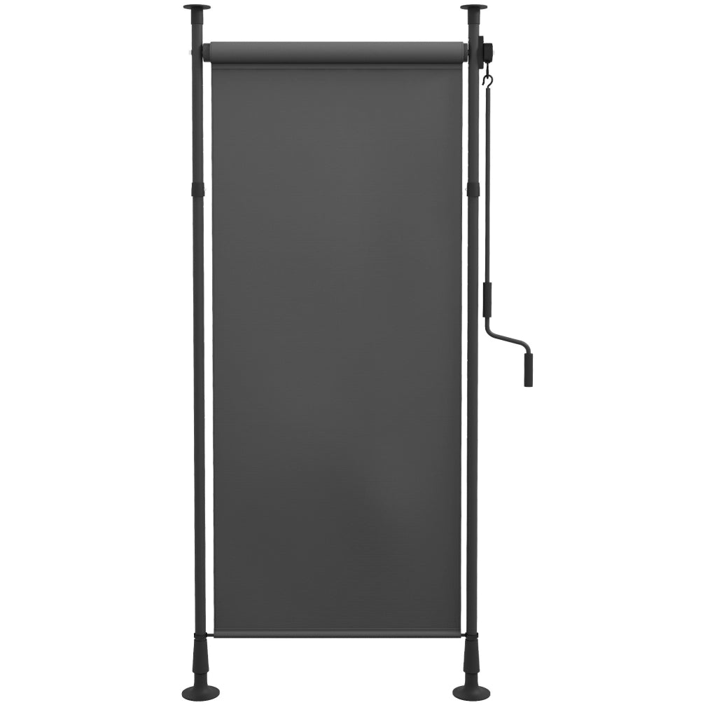 Tenda da sole verticale autoportante 120 x 220-310 cm con manovella; grigio scuro