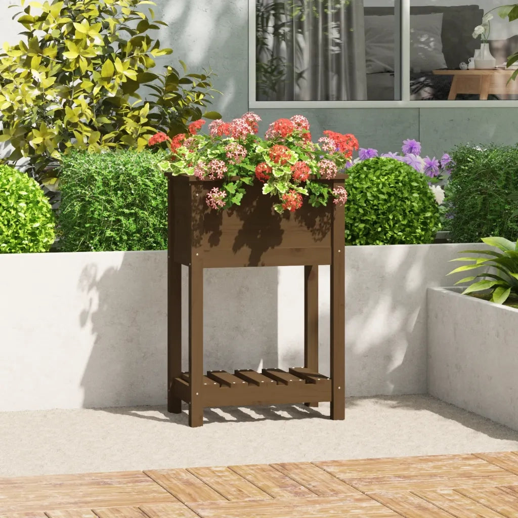 Fioriera con Mensola Ambra 54x34,5x81cm Legno Massello di Pino 823755