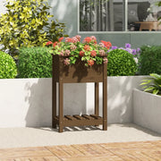 Fioriera con Mensola Ambra 54x34,5x81cm Legno Massello di Pino 823755