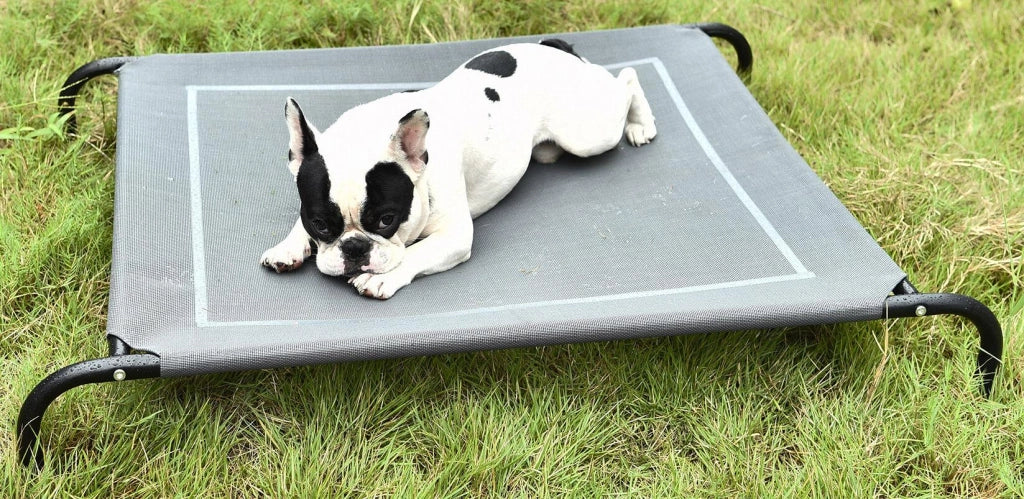 Brandina Maxi per Cani e Gatti in Tessuto Relax Grigia