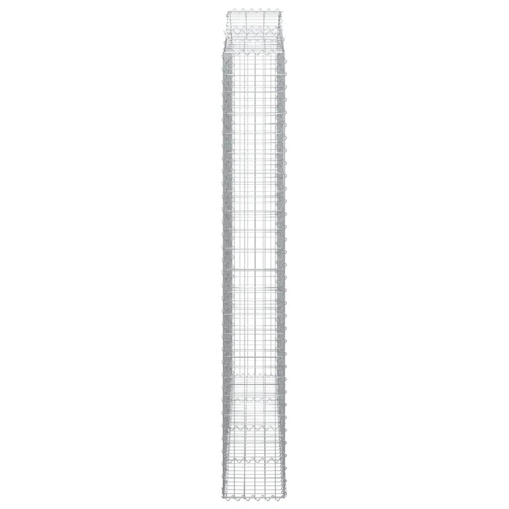 Cesti Gabbioni ad Arco 2 pz 200x30x220/240 cm Ferro Zincato 3145556